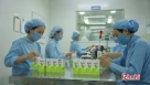 PS - Trà thảo dược và những điều cần lưu ý