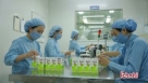 Thủ đô ngày mới - Tăng cường kiểm tra, giám sát chất lượng thuốc | Dược liệu Trường Xuân