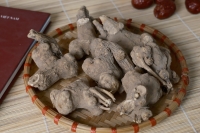 Bạch truật thumbnail 1