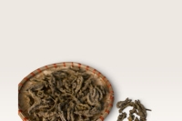 Hoàng liên thumbnail 1