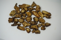 Khương hoạt thumbnail 3