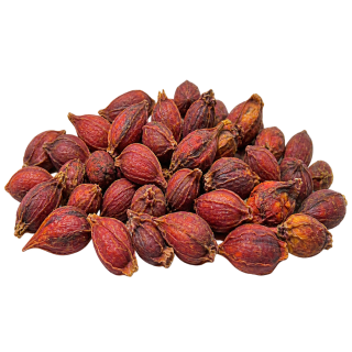 Chi tử