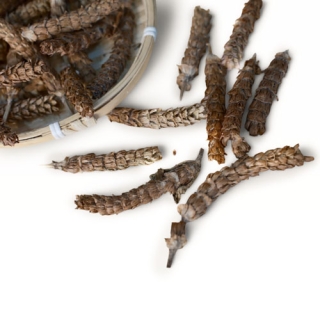 Hạ khô thảo