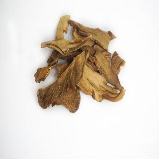 Cẩu tích