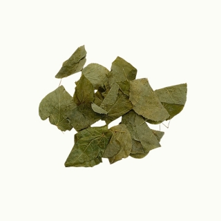 Dâm dương hoắc