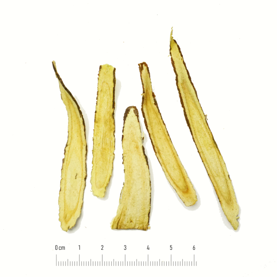 Cam thảo (Radix et Rhizoma Glycyrrhizae)