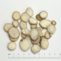 Bạch thược (Radix Paeoniae lactiflorae)
