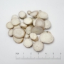 Bạch thược (Radix Paeoniae lactiflorae)